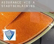 Assurance vie à  Stadtschlaining