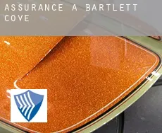 Assurance à  Bartlett Cove