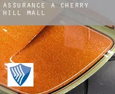 Assurance à  Cherry Hill Mall