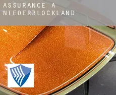 Assurance à Niederblockland