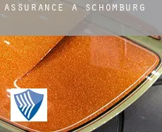 Assurance à  Schomburg