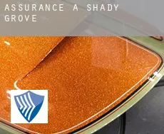 Assurance à Shady Grove