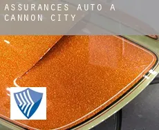 Assurances auto à  Cannon City