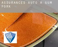Assurances auto à  Gum Fork