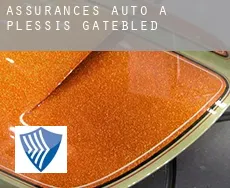 Assurances auto à  Plessis-Gatebled