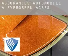 Assurances automobile à Evergreen Acres