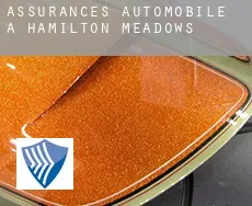 Assurances automobile à  Hamilton Meadows