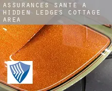 Assurances santé à Hidden Ledges Cottage Area