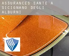Assurances santé à Sicignano degli Alburni