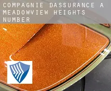 Compagnie d'assurance à  Meadowview Heights Number 4