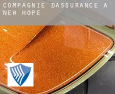 Compagnie d'assurance à  New Hope