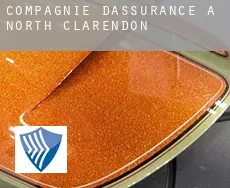 Compagnie d'assurance à  North Clarendon