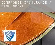 Compagnie d'assurance à  Pine Grove