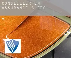 Conseiller en assurance à Ebo
