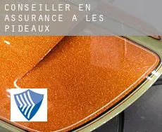 Conseiller en assurance à Les Pideaux