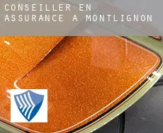 Conseiller en assurance à Montlignon