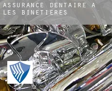 Assurance dentaire à  Les Binetières