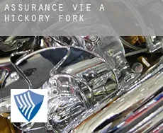 Assurance vie à  Hickory Fork