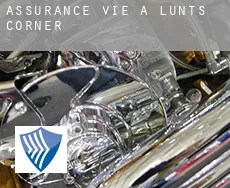Assurance vie à  Lunts Corner