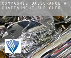 Compagnie d'assurance à  Châteauneuf-sur-Cher