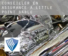 Conseiller en assurance à Little Point Sable
