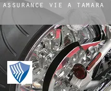 Assurance vie à  Tamara