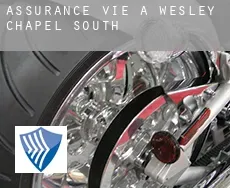 Assurance vie à  Wesley Chapel South