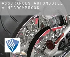 Assurances automobile à  Meadowbrook