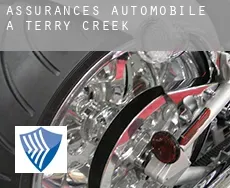 Assurances automobile à  Terry Creek