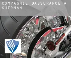 Compagnie d'assurance à  Sherman