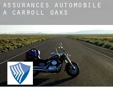 Assurances automobile à  Carroll Oaks