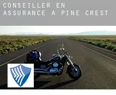 Conseiller en assurance à  Pine Crest