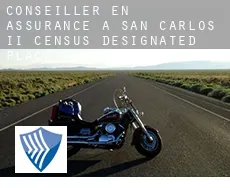 Conseiller en assurance à  San Carlos II