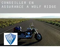 Conseiller en assurance à  Wolf Ridge