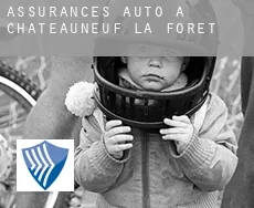 Assurances auto à  Châteauneuf-la-Forêt