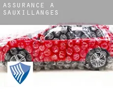Assurance à  Sauxillanges