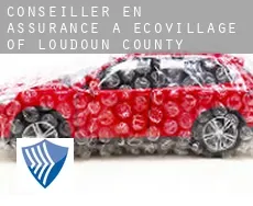Conseiller en assurance à  EcoVillage of Loudoun County