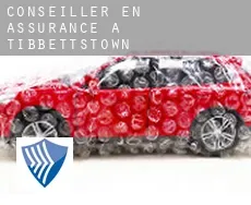 Conseiller en assurance à  Tibbettstown