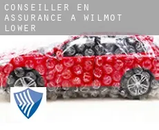 Conseiller en assurance à  Wilmot Lower