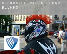 Assurance vie à  Cedar Bluffs