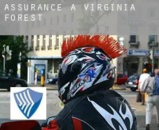 Assurance à Virginia Forest