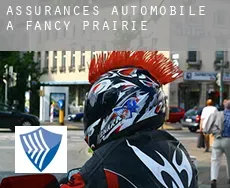 Assurances automobile à  Fancy Prairie