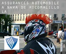 Assurances automobile à  Nava de Ricomalillo (La)