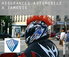 Assurances automobile à  Támesis