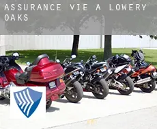 Assurance vie à  Lowery Oaks