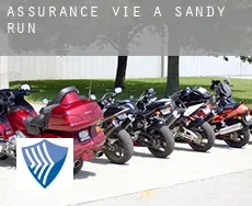 Assurance vie à  Sandy Run