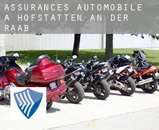 Assurances automobile à  Hofstätten an der Raab