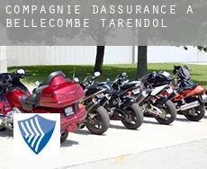 Compagnie d'assurance à  Bellecombe-Tarendol