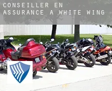 Conseiller en assurance à  White Wing