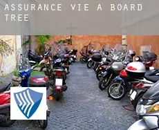Assurance vie à  Board Tree